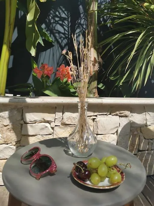 La Petite Nicoise Au Jacuzzi A 3 Min De La Mer Nice Villa
